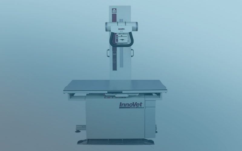 X-Ray for the Veterinary Industry | X-Ray Design, Set-Up, Sourcing